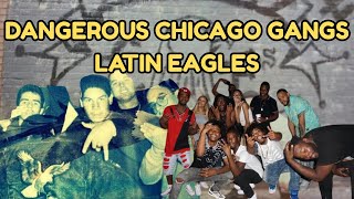 Dangerous Chicago Gangs: The Rise of the Latin Eagles Puerto Rican Street Power