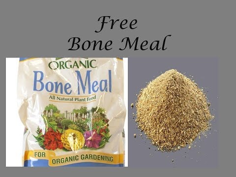 Come fare farine concime per piante GRATIS