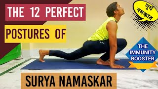 Step by Step Surya Namaskar and Benefits | Yoga for Boosting Immunity | Yoga support (Bengali) screenshot 3