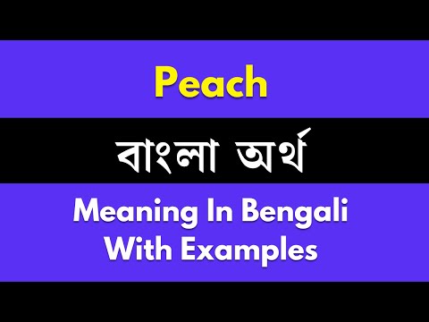 Peach Meaning In Bengali/Peach শব্দের বাংলা ভাষায় অর্থ অথবা মানে কি