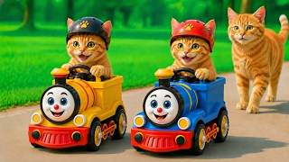 Mama Cat Trims Fur on the Farm and Makes Tiger Hat For Kittens At