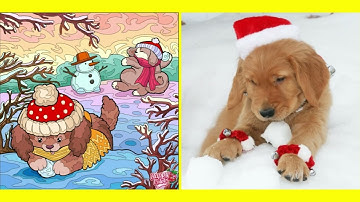 Happy color game color by numbers in real life / christmas / new year