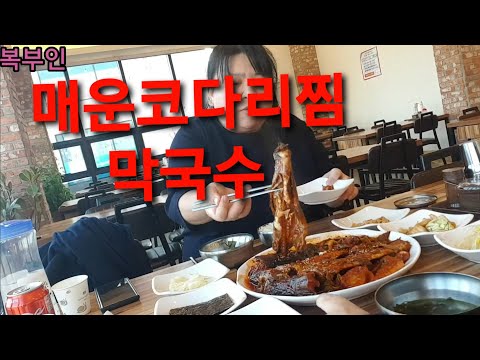 복부인 <strong>매운코다리찜</strong> 막국수 먹방