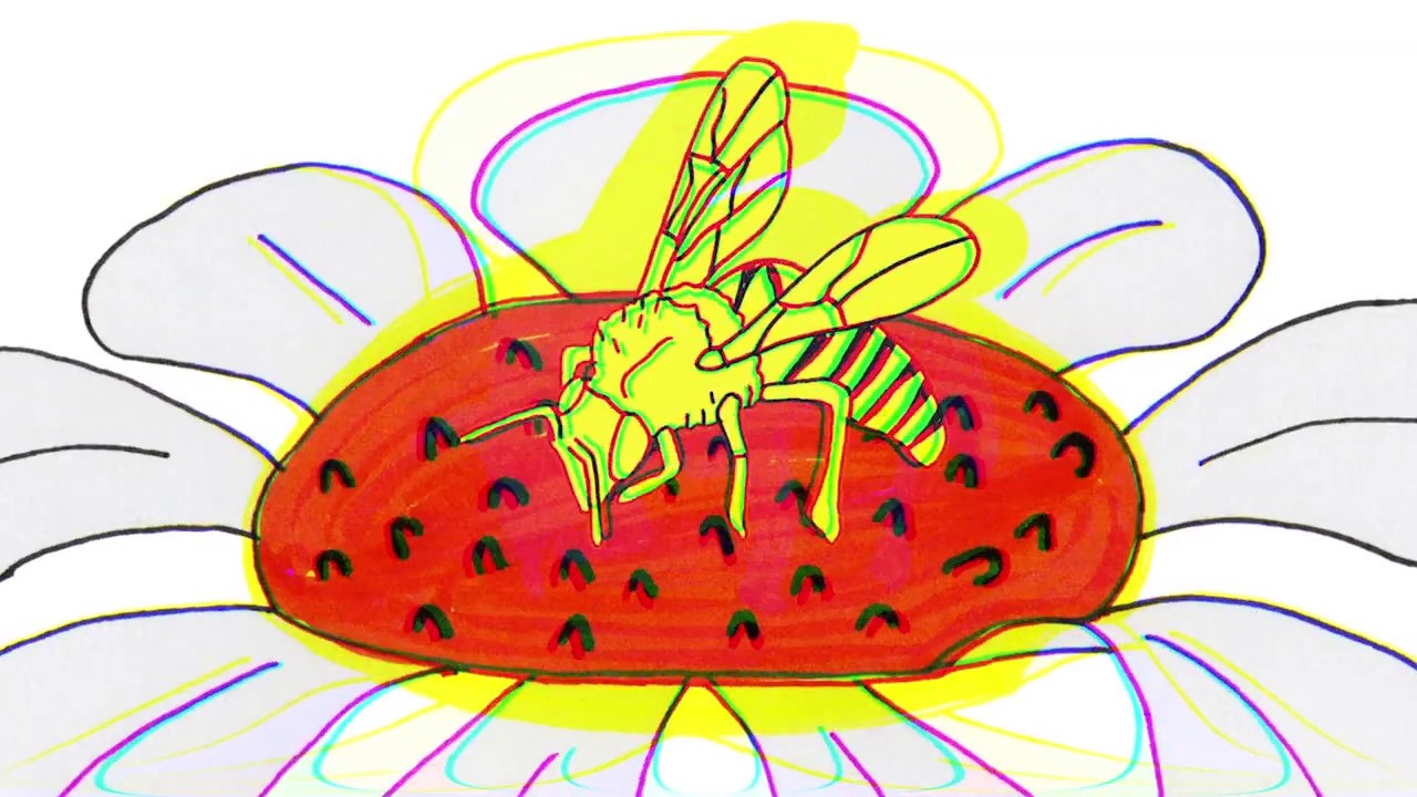 Same - Bluish (Official Music Video)