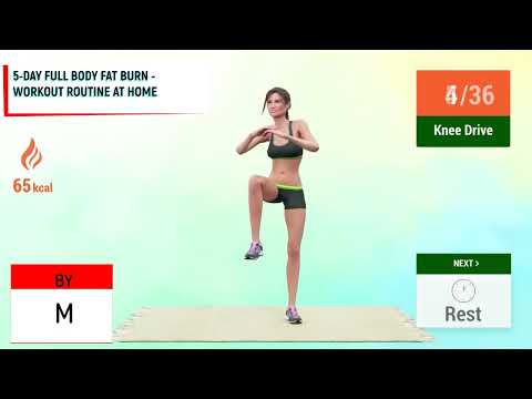 5 DAY FULL BODY FAT BURN   WORKOUT ROUTINE AT HOME/5 დღიანი მთლიანი სხეულის ცხიმის წვა   ვარჯიშის