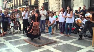 Flamenco dance group in granada