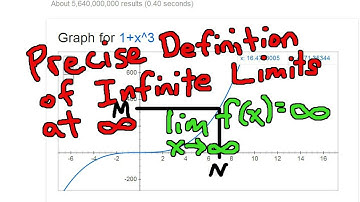 Precise Definition of Infinite Limits at Infinity