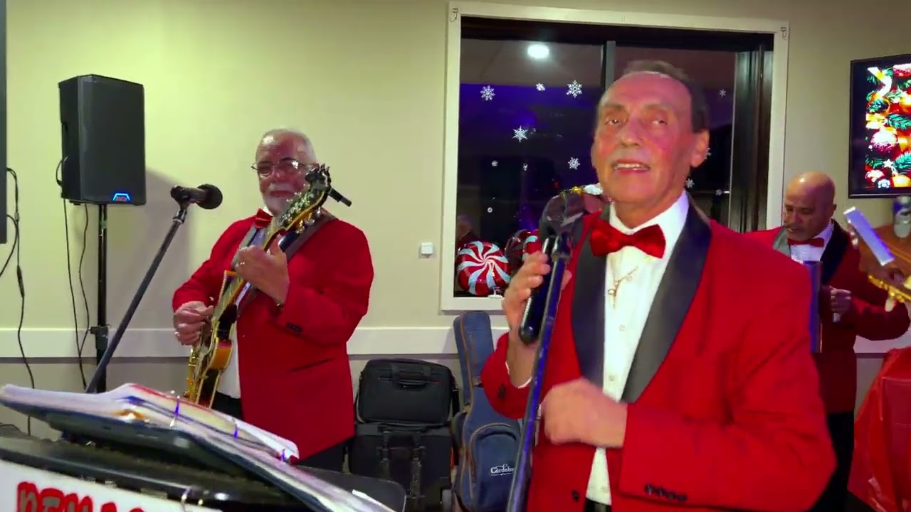 Festival Puertorriqueno De Vineland NJ Parranda Navideno 2025 #2