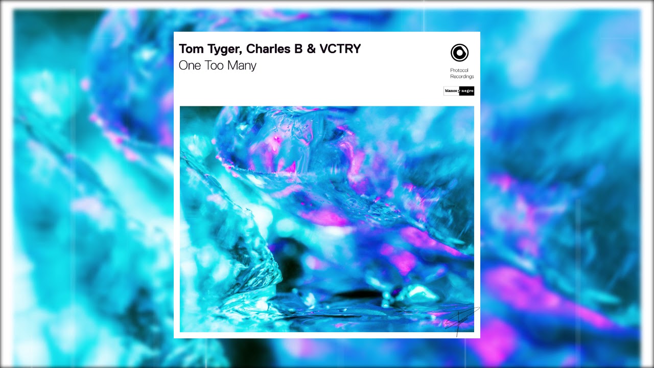Tom Tyger, Charles B & VCTRY - One Too Many (Official Audio)