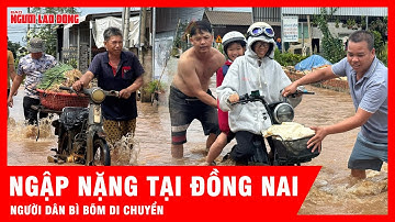 Ngập nặng tại Đồng Nai, người dân bì bõm di chuyển trong dòng nước | Tin tức