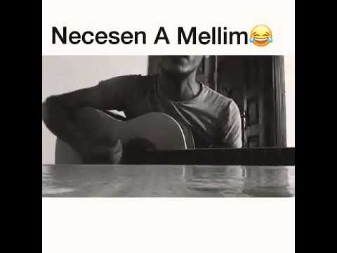 Necesen A Muellim 😂