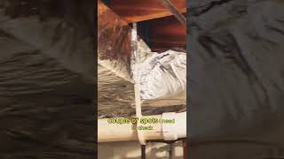 Home Insulation Project Check | Lower Energy Bills