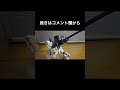 #ウッディ #兎田ぺこら コマ撮り