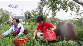 6시 내고향 - Hometown Report 20140724 #006