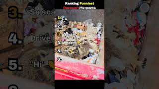 Ranking funniest Raccoon moments 😂