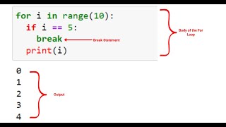 Mastering Loops, Conditional Statements, and String Properties - Live Tutorial