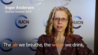 Inger Andersen – IUCN World Conservation Congress 2016