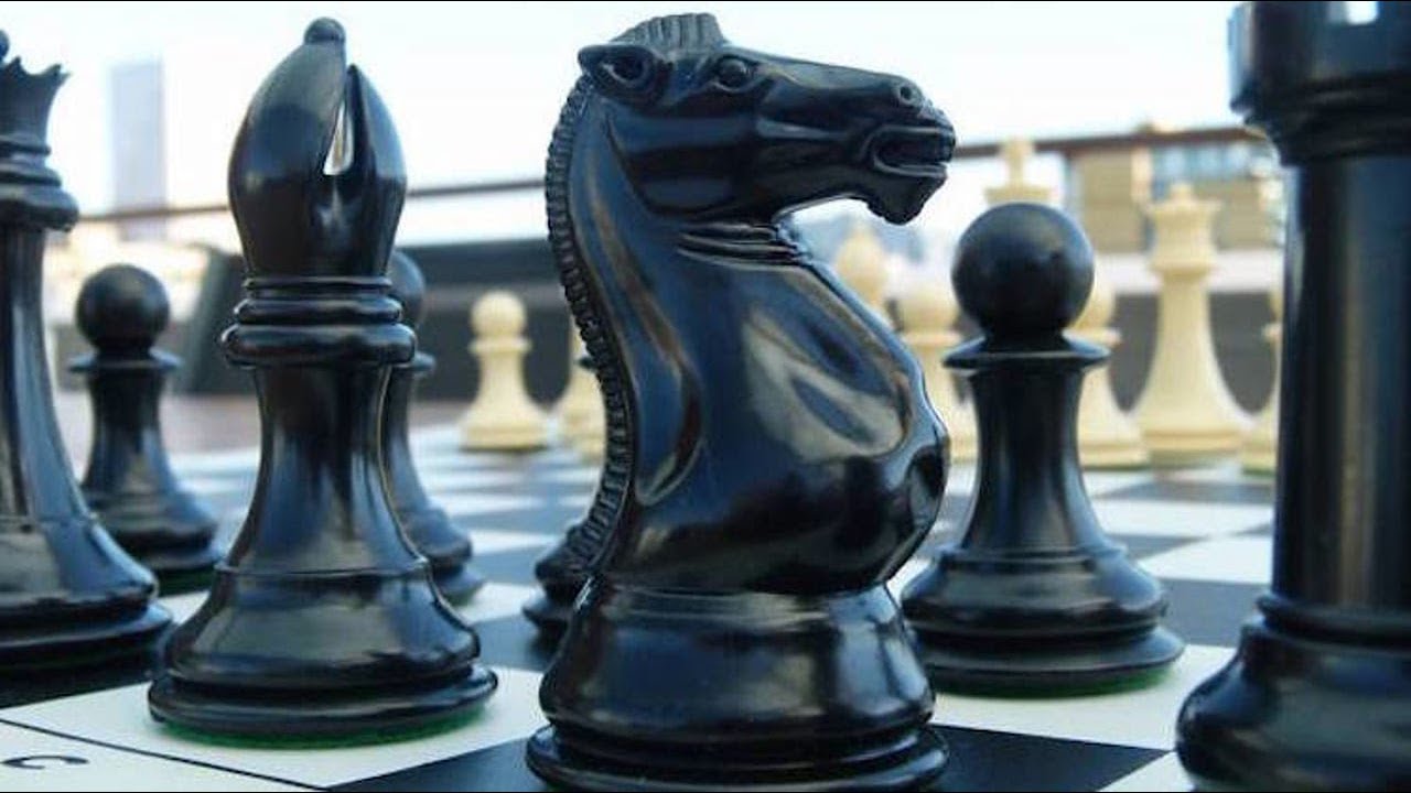 Quadruple Weight Tournament Chess Set The Best Chess Set Ever! YouTube