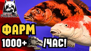 🤯 СУПЕР ФАРМ МЕДНОЕ РР4! РР4 Норвежское море ловля с берега