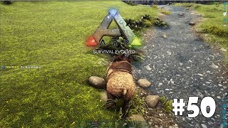 ARK: Survival Evolved (Ragnarok) #50 - Свирепый медведь