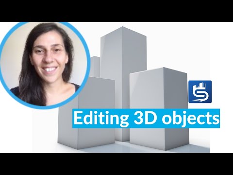 Editing 3D objects in Synchro Pro