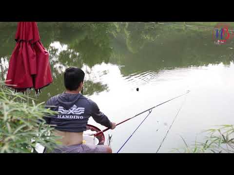 Câu cá vào tháng Cô Hồn và cái kết rất Bồn Chồn - Ngọc Biển Fishing