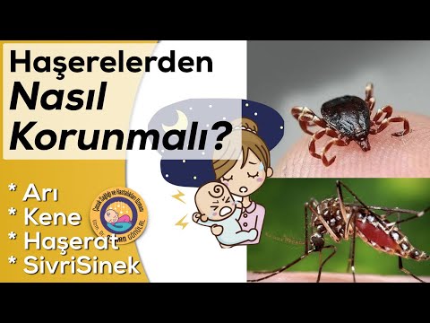 Video: Bebeğinizi Sivrisineklerden Nasıl Korursunuz