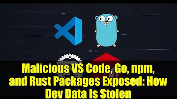 Malicious VS Code, Go, npm, and Rust Packages Exposed: How Dev Data Is Stolen