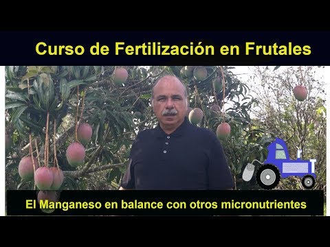 Video: Proveemos Plantas Con Manganeso, Cobre Y Boro