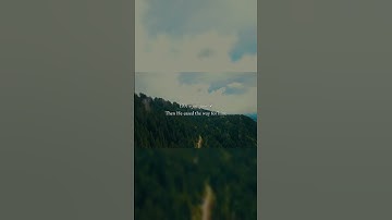Surat Abasa سورة عبس. quranic insights