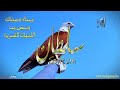 معنى اسم سلطان وصفات حامل هذا الاسم على قناة معاني الاسماء Sultan معنى اسم سلطان وصفات حامل هذا الاسم على قناة معاني الاسماء Sultan