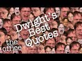 Dwights best quotes   the office us
