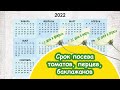 Сроки посева семян томатов, сладких перцев, баклажанов на рассаду в 2022 году / Мои планы посева