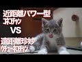因縁のコネコチャン、珍妙なウチューネコチャンと対面する　The powerful kitten met the spacecat