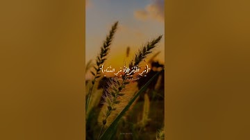 سورة ال عمران ا الايه رقم 5,6 ا تلاوه عبدالرحمن مسعد