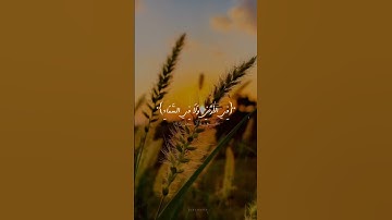 سورة ال عمران ا الايه رقم 5,6 ا تلاوه عبدالرحمن مسعد