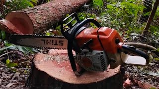 tebang pokok geronggang guna chainsaw stihl ms382