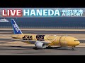 📡🔶[LIVE] '25/2/11 羽田空港 T2 Tokyo International Airport HANEDA T2 plane spotting