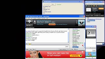 WinSock Hook Paltalk.avi