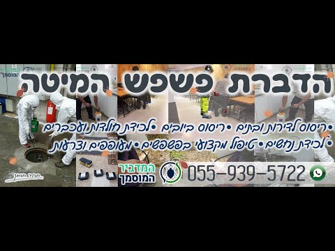 מדריך - איך מטפלים בפשפש מיטה בחדרי שינה - המדביר המוסמך