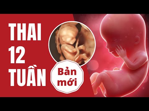 Video: Não 12 tuổi phát triển như thế nào?