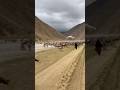 Sudden Flood #reallife #travel #afghanistanpeople #shortclips #shorts shor
