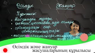 картинка: Өсімдік және жануар жасушаларының құрылысы. 7 сынып.