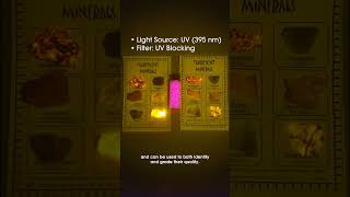 Photoluminescence | Photonics in Everyday Life