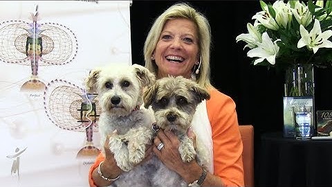 Bioenergetics of Relationships   Short Answer with Dr  Sue   Episode 56