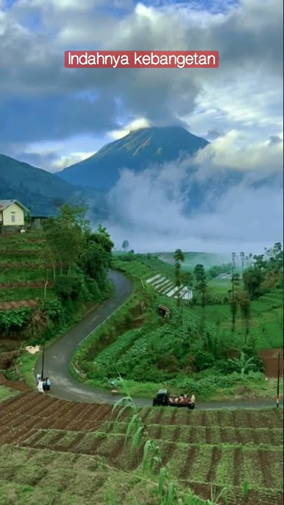 suasana alam desa di pagi hari | #shorts @luthfibasid
