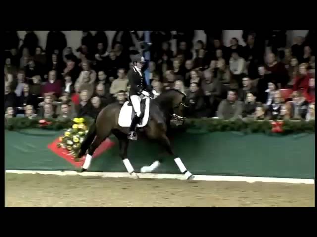 Don Tango B rejoint l'Allemagne