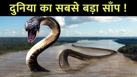 सबसे बड़ा सांप | biggest snake in the world | biggest snake ever recorded | biggest snakes | knoleg