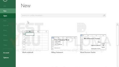 Create a new workbook based on the Expense Report template.