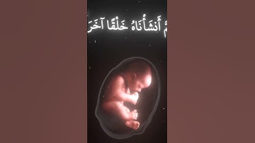 قران كريم بصوت الشيخ ياسر الدوسري #اكسبلور #لايك #ترند